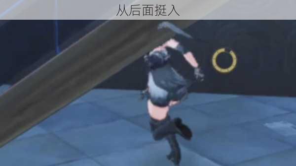 从后面挺入