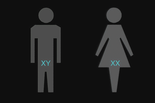 探索现代性别关系中男人与女人在情感交流与生理互动中的复杂动态