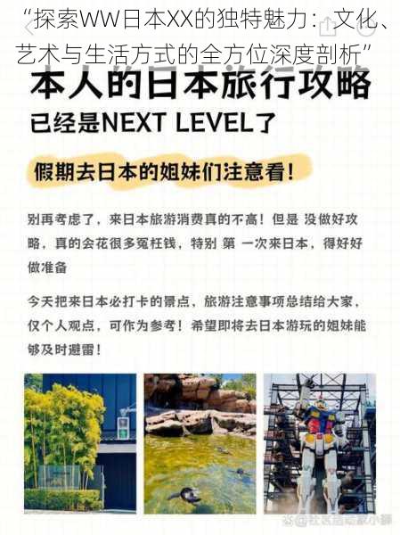 “探索WW日本XX的独特魅力:文化、艺术与生活方式的全方位深度剖析”