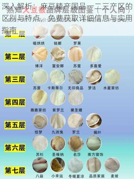 深入解析:麻豆精产国品一二三产区的区别与特点,免费获取详细信息与实用指南