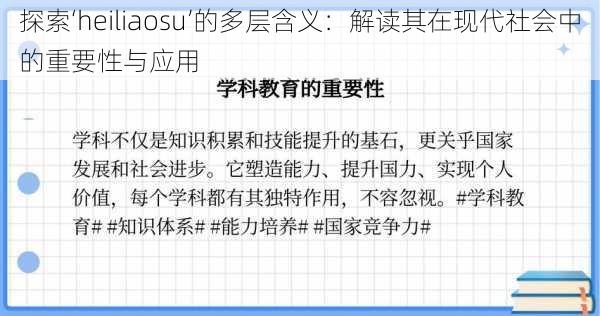 探索‘heiliaosu’的多层含义:解读其在现代社会中的重要性与应用