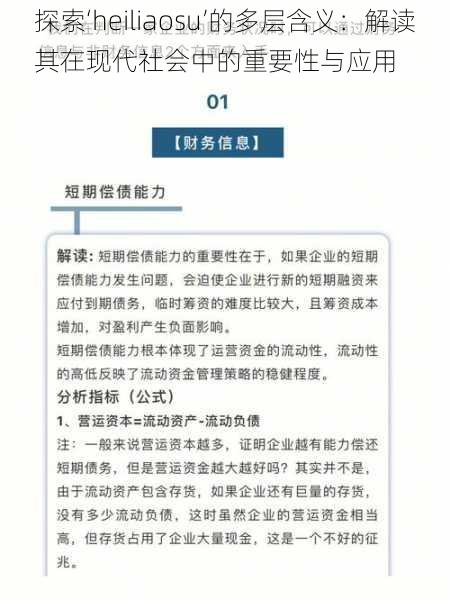 探索‘heiliaosu’的多层含义:解读其在现代社会中的重要性与应用