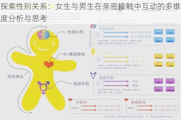 探索性别关系:女生与男生在亲密接触中互动的多维度分析与思考