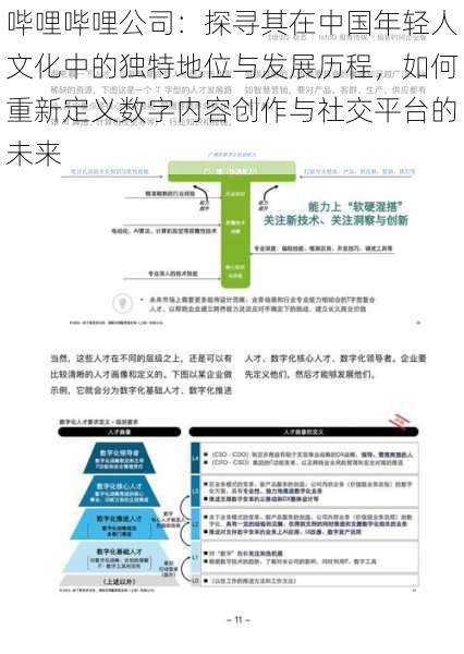 哔哩哔哩公司:探寻其在中国年轻人文化中的独特地位与发展历程,如何重新定义数字内容创作与社交平台的未来