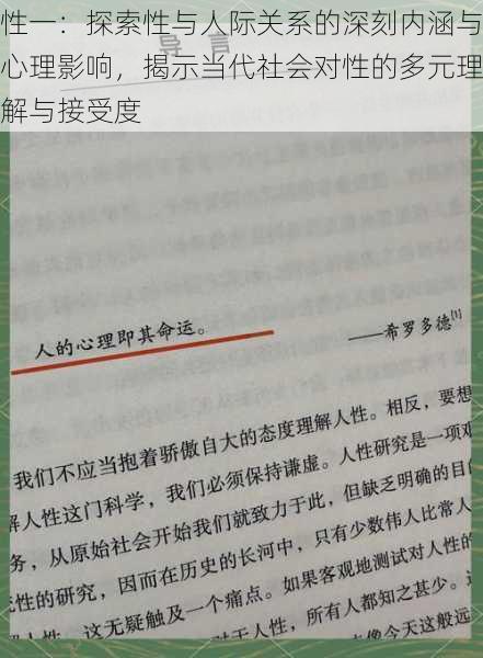 性一:探索性与人际关系的深刻内涵与心理影响,揭示当代社会对性的多元理解与接受度