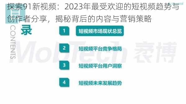 探索91新视频:2023年最受欢迎的短视频趋势与创作者分享,揭秘背后的内容与营销策略