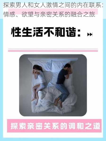 探索男人和女人激情之间的内在联系：情感、欲望与亲密关系的融合之旅